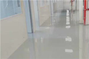 普耐环氧自流平