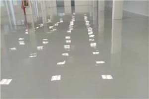 普耐环氧自流平